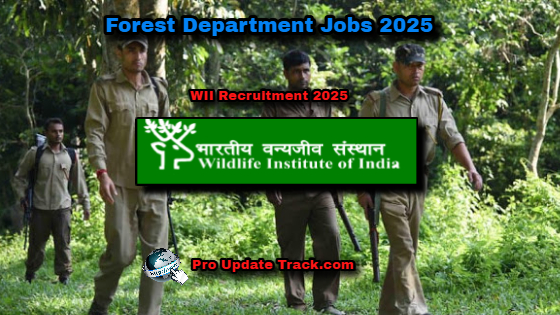 WII Recruitment 2025